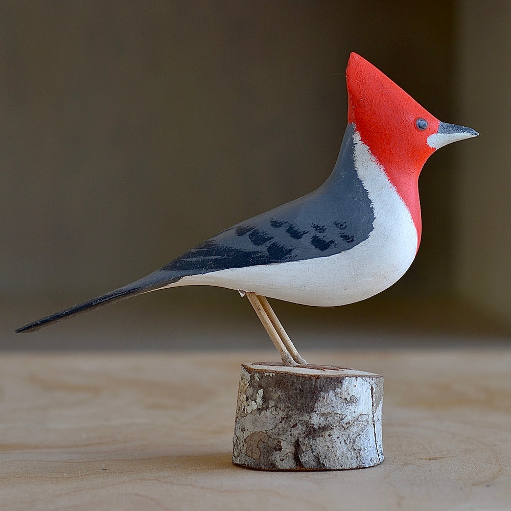 Decorative Wood bird from Brazil - Brazilian Cardinal.