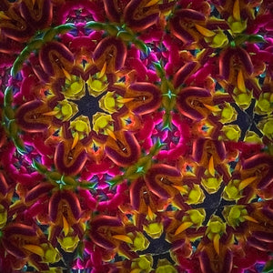 Kaleidoscope image.