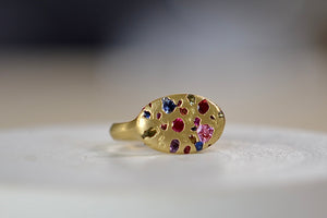 
            
                Load image into Gallery viewer, Polly Wales Elysian Ring in Rainbow sapphires (red, pink, blue, purple, green) with knife edge band in 18k recycled yellow gold that is cast not set confetti signet or pinky ring.
            
        