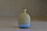 Heather Rosenman Short Green and Blue Web Vase "C"