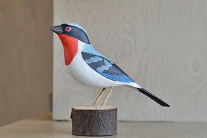 Decorative Wood bird from Brazil - Saira Apunhalada.