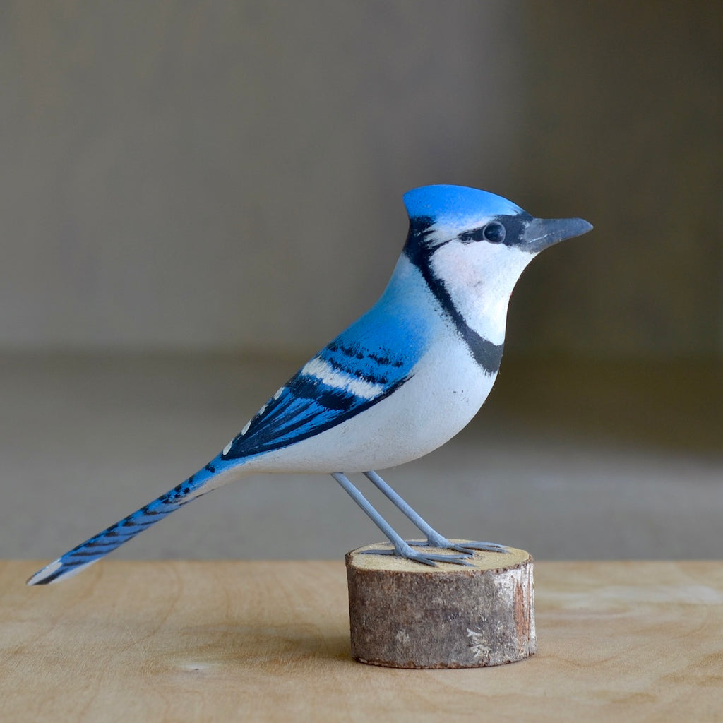 Blue Jay wood bird.