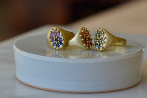 Encrusted Lotus signet rings by Polly wales are  oval set signet rings in 18k polished gold with encrusted mixed cut sapphires and white diamonds in three color ways. 