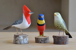 
            
                Load image into Gallery viewer, Beautifully made fair trade Birds from Brazil.  Modeled after birds from the region, this artisan makes them from reclaimed wood and supports his family by their production.
            
        