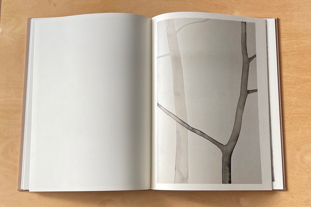 Watercolor from Deer by Mats Gustafson.