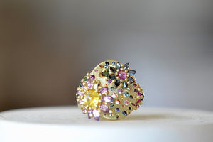 Front view of Daisy Cluster Signet ring by Polly Wales.
