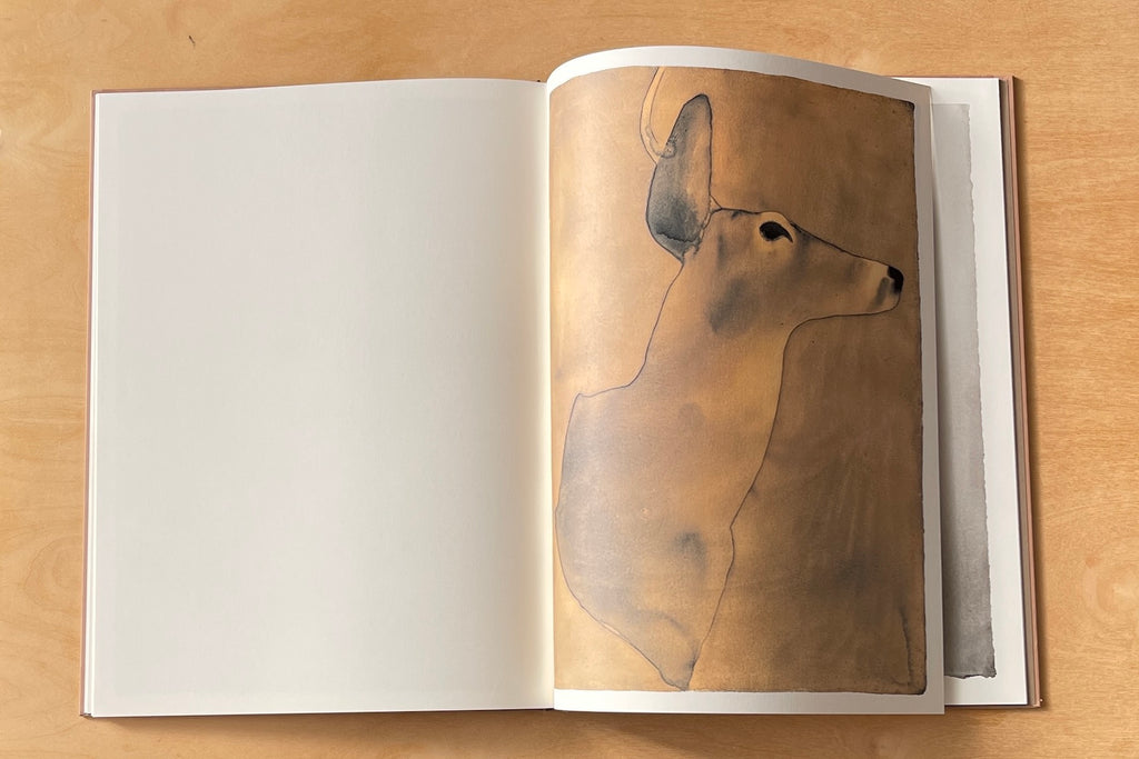 Watercolor from Deer by Mats Gustafson.