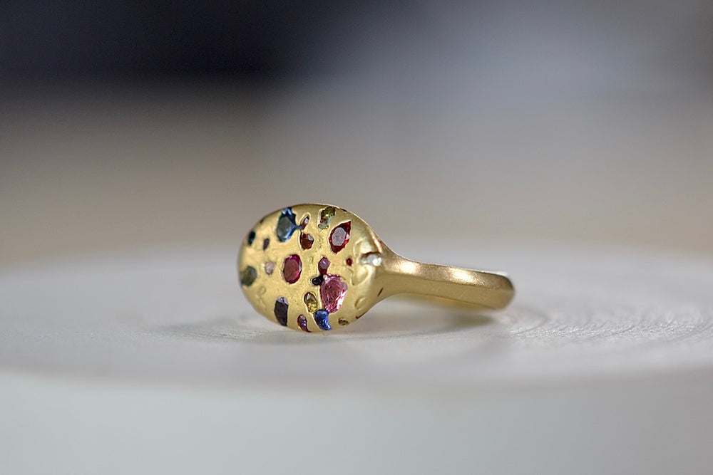 
            
                Load image into Gallery viewer, Side view of Elysian Ring in Rainbow Sapphires by Polly Wales. Cast not set. Confetti style signet or pinky ring.
            
        