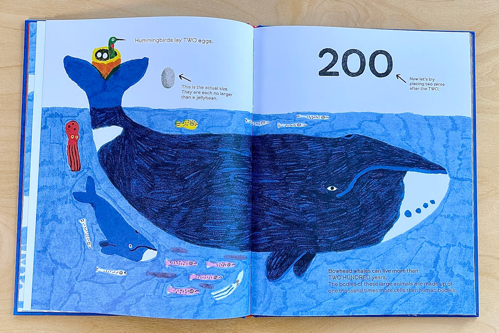 Illustration form Octopuses have Zero Bones by Anne Richardson with illustrations by Andrea Antinori.