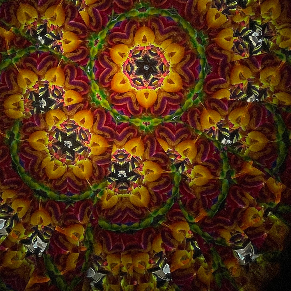 
            
                Load image into Gallery viewer, Kaleidoscope image.
            
        