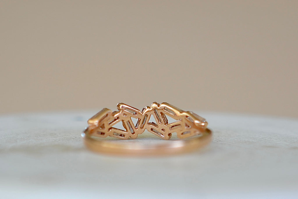 Fireworks setting on Suzanne Kalan band from the back.