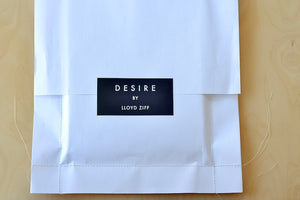 Desire or Patti and Robert by Lloyd Ziff in special bag - back.