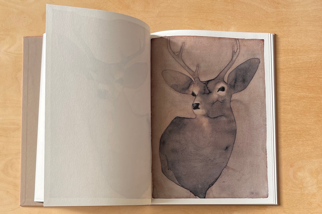 Another watercolor from Deer by Mats Gustafson.