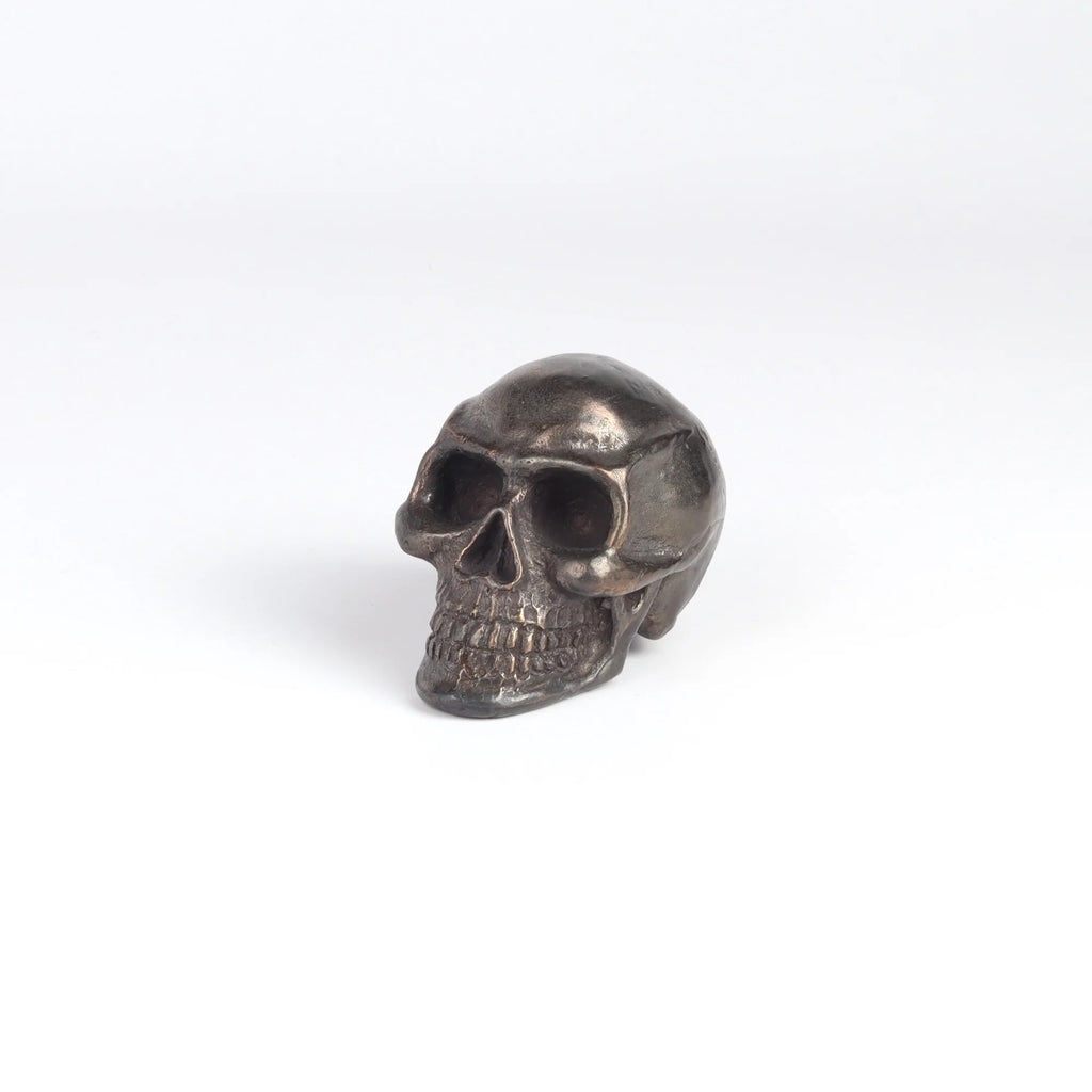 Bronze Object "Skull" by Anne Ricketts.