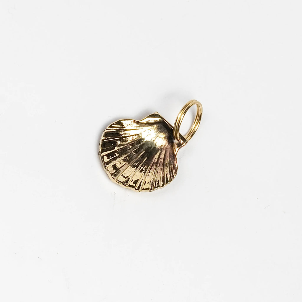 Alternate view of Seashell keyring.