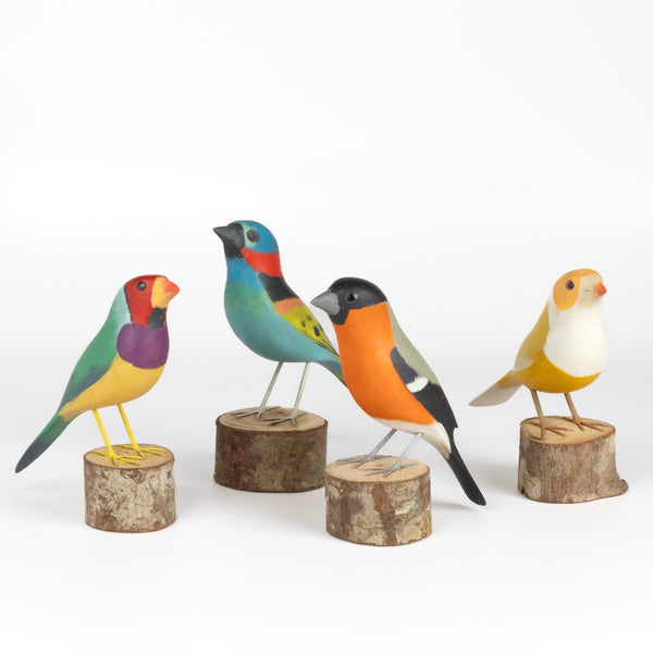 A selection of decorative and colorful  wooden birds from Brazil.