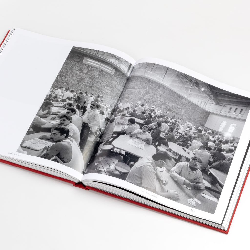 Page from Second edition of Blood In Blood Out book.