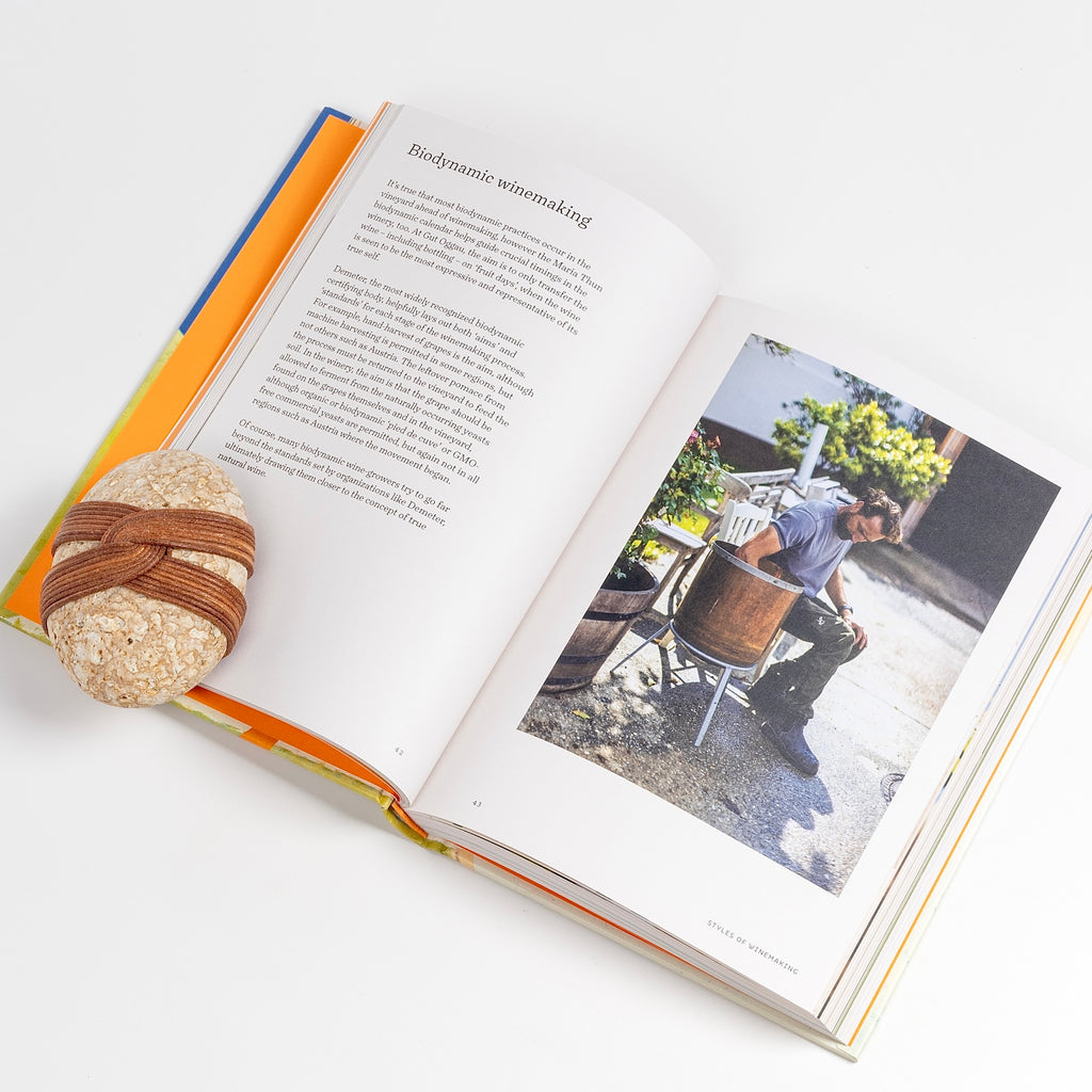 Another page from Natural Wine, No Drama: An Unpretentious Guide book by Honey Spencer.