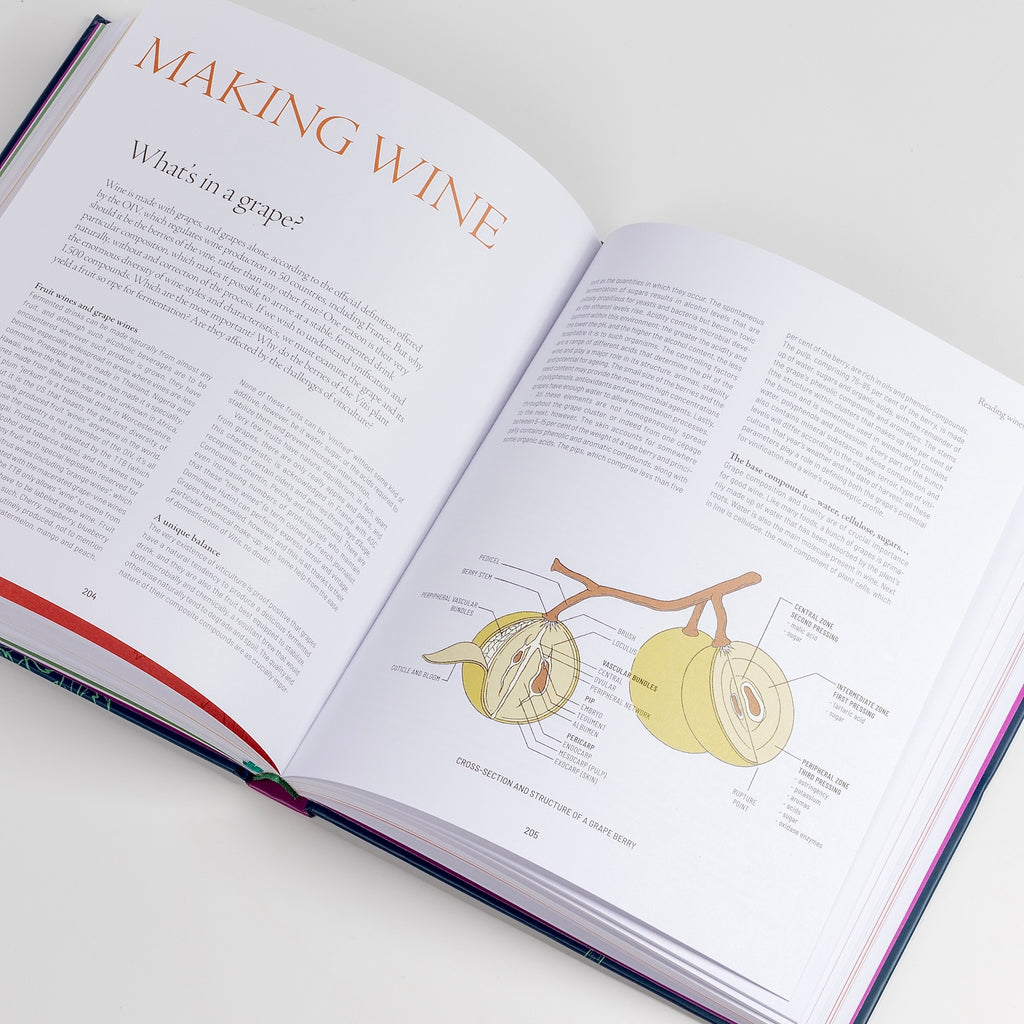 Making wine page from One Thousand Vines: A New Way to Understand Wines by Pascaline Lepeltier.