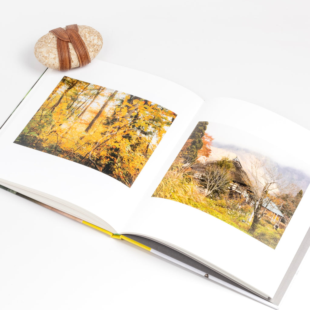 Spring Image from Otari: Pristine Peaks from photographer Keiko Nomura.