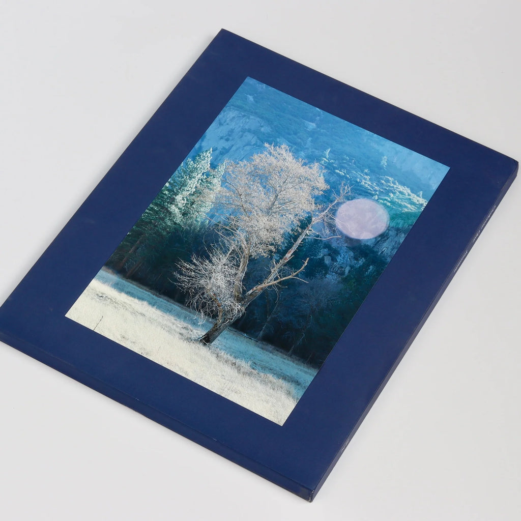 Yosemite by Catherine Opie is a slipcovered limited edition of 350, coffee table  book of photographs from Yosemite National park, in focus and out of blurred, capturing and breaking down its majestic nature from Nazraeli Press. 