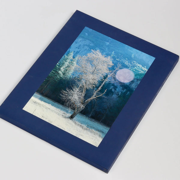 Yosemite by Catherine Opie is a slipcovered limited edition of 350, coffee table  book of photographs from Yosemite National park, in focus and out of blurred, capturing and breaking down its majestic nature from Nazraeli Press. 