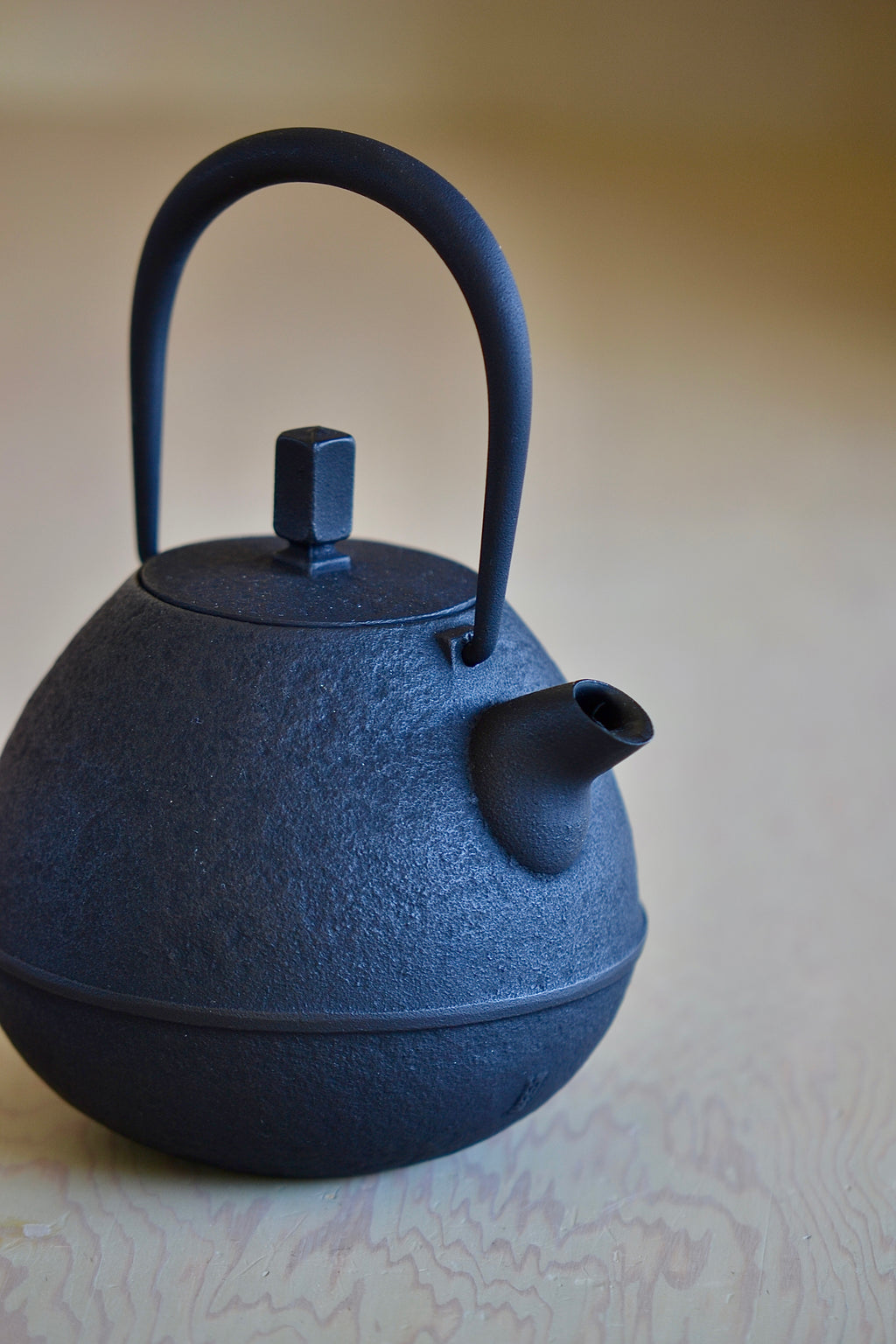 Studio shot of medium Nambu Tetsu Cast Iron Teapot called Egg from Kukan Chuzo in Japan.