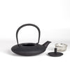 Moon cast iron teapot with infuser and lid on white background.