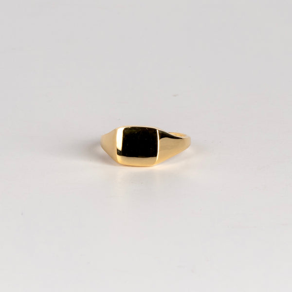 Horizontal Rectangle Reflection Signet by Makiko Wakita in size 6.
