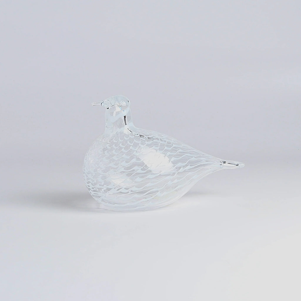 OIva Toikka Mediator Dove in clear glass with white pattern design from Iittala on white background.