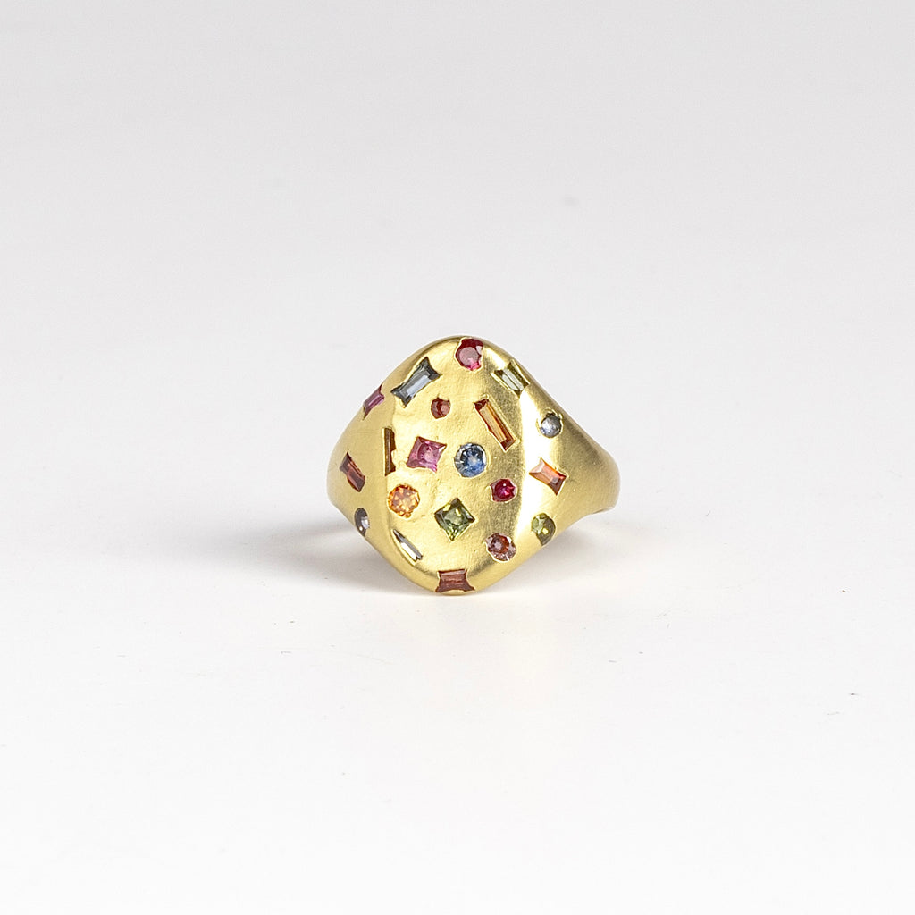 Rainbow Harlequin Confetti Classic Signet ring by Polly Wales is a one of a kind classic signet with confetti style mix cut sapphires in orange, pink, blue and green and 18k yellow gold tapered band. Cast not set. Handcrafted in Los Angeles. Size 4.