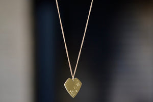 Full length image of Kaylin Hertel's pick  necklace.