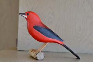 Til Sanque wood bird from Brazil in red with black wings.