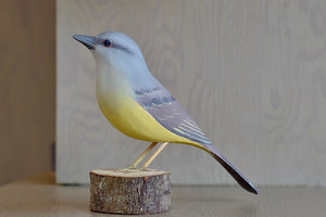 Toninho Surisi bird from Brazil in wood has yellow stomach and grey wings and back.