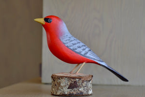 
            
                Load image into Gallery viewer, The Saira Vermulha wood bird from Brazil is red with grey wings and black around the eyes.
            
        