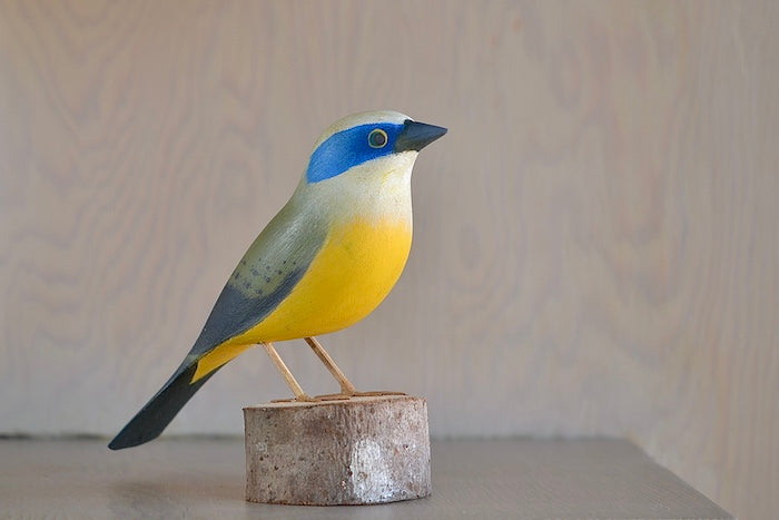 
            
                Load image into Gallery viewer, Handmade wood wooden birds from Brazil Mascaro Azul
            
        
