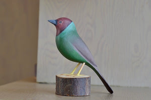Roxinho bird from Brazil in wood is green with grey wings and brown head.