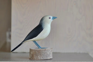 Handmade Wood Wooden Birds from Brazil Bonito