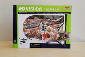 
            
                Load image into Gallery viewer, Shark Model is a Realistic 13&amp;quot; long anotomical Great White Shark model.  20 pieces with display stand. Learn the innerworkings of one of the most fearsome preditors of the ocean.
            
        