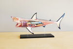 Shark Anatomy Model 4D