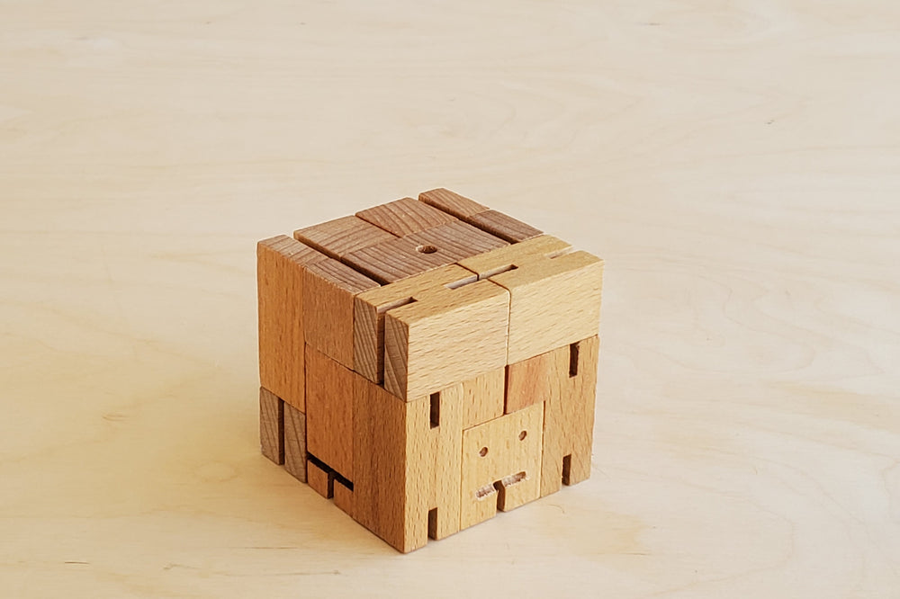 Cubebot Small Size