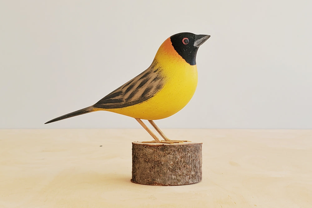 Beautifully fair trade made wooden wood Birds from Brazil, modeled after birds from the region. This artisan makes them from reclaimed wood for decor decoration. Tecelao Policia.