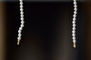 Alternate view of Small Seed Pearl Strand in White by Polly Wales is a A strand of a la carte fresh water seed pearls with gold bales on each end to fit a Polly padlock.