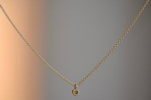 
            
                Load image into Gallery viewer, Dainty Necklace with Diamond by Carla Caruso is a forever necklace of a simple and sparkly white diamond bezel set in 14k yellow gold and satin finish on a chain. Handmade in Massachusetts.
            
        