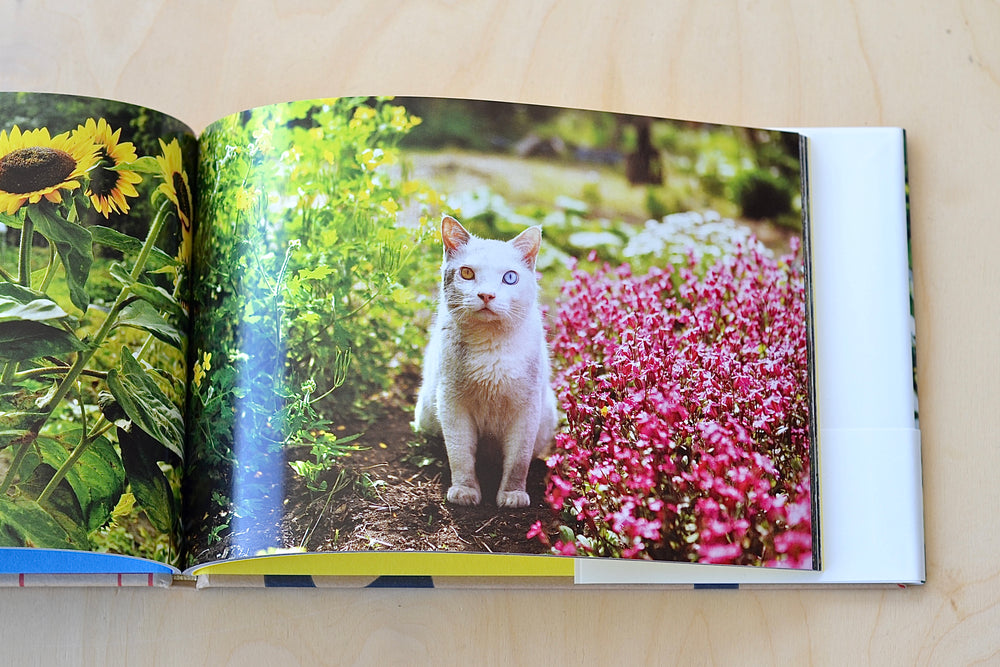 Misao The Big Mama And Fukumaru The Cat by Miyoko Ihara - rare cat book in Japanese