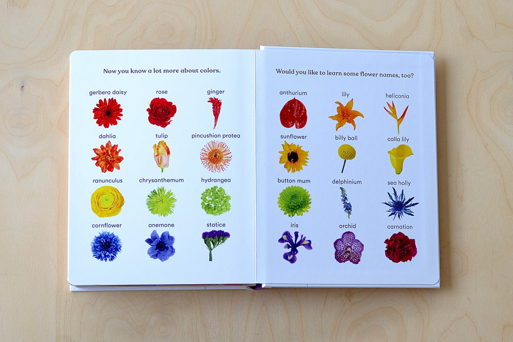 Rainbows in Bloom by From Darroch and Michael Putnam