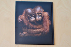 
            
                Load image into Gallery viewer, The People of the Forest by Mark Edward Harris Orangutans
            
        