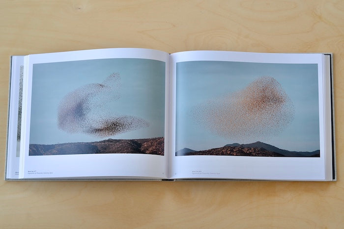 Photographs of bird migrations in Black Sun by Søren Solkær.