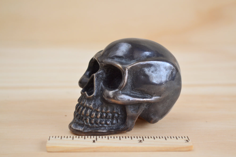 Bronze Object "Skull" by Anne Ricketts.