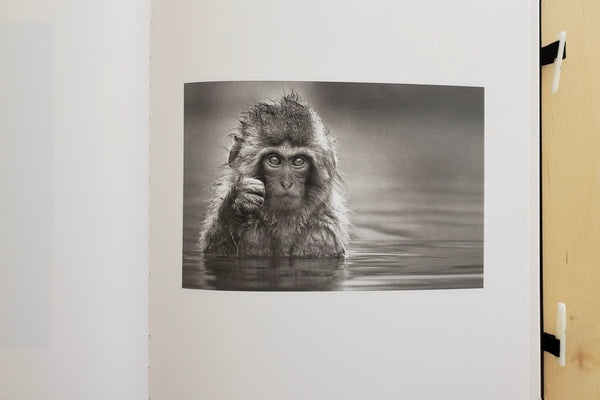 Way of The Japanese Bath photo book by Mark Edward Harris.